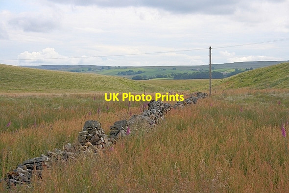 Photo 6"x4" Wall, Ingman Lodge Rough Pasture Selside\/SD7875 c2011
