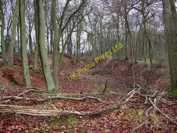 Photo 6"x4" Sunken track in Crowellhill Wood Crowell Hill c2006
