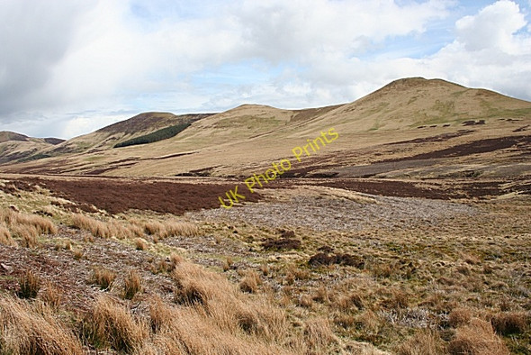 Photo 6"x4" The Kips and Scald Law from near Red Gate Silverburn\/NT2060 c2008