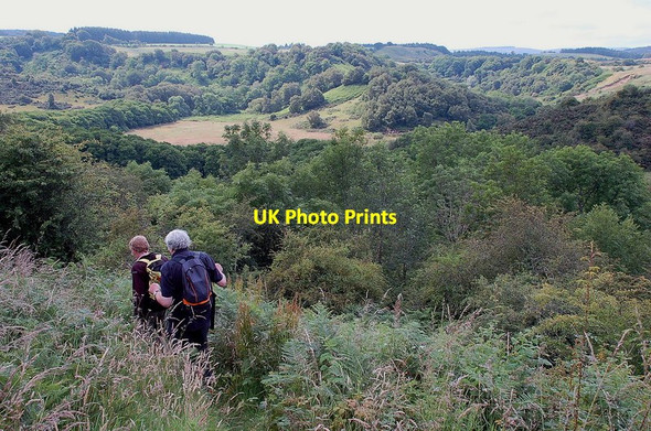 Photo 6"x4" Tyne valley below Crichton Castle Crichton c2011