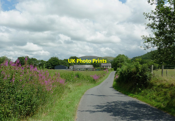 Photo 6"x4" Lane to Llanddewi-Brefi, Ceredigion Cockshead c2011