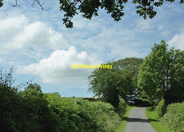 Photo 6"x4" Lane to Olmarch, Ceredigion Cockshead c2011