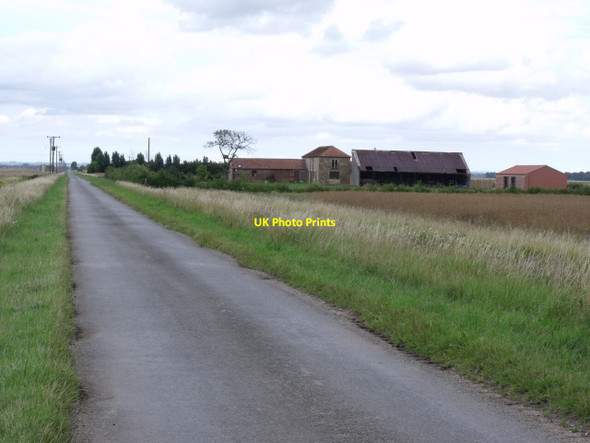 Photo 6"x4" Willow farm and Dunston Fen lane Wasps Nest c2011