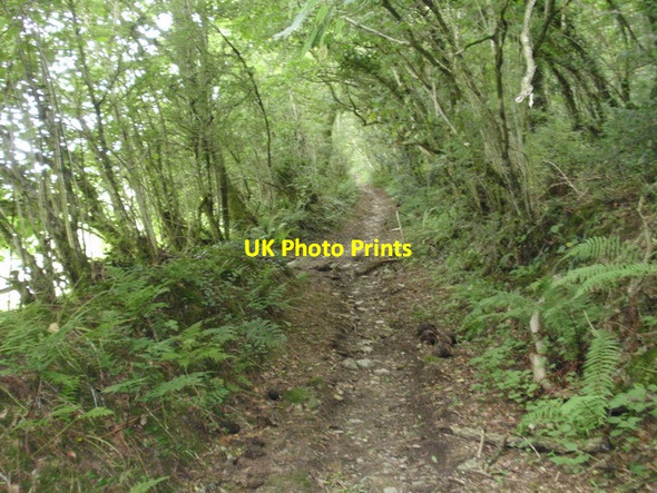 Photo 6"x4" Llwybr cyhoeddus Skanda Vale \/ Skanda Vale public footpath Alltwalis c2011