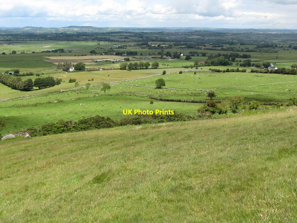 Photo 6"x4" Sheep pastures north of Carnbane East Drumone c2011