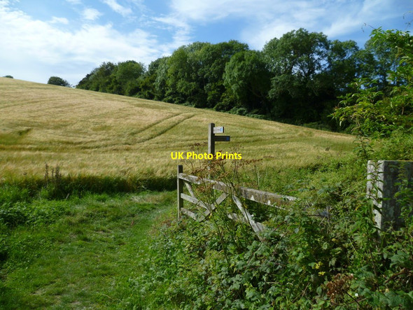 Photo 6"x4" Bridleway corner near South Stoke Farm Arundel c2011