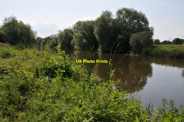 Photo 6"x4" River Thames near Culham Appleford c2011