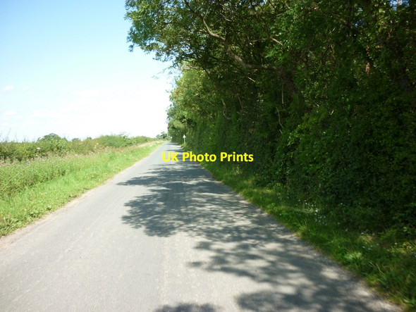 Photo 6"x4" Moor Lane at Camp Hill Plantation Kirklington\/SE3181 c2011