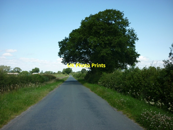 Photo 6"x4" Moor Lane at Carthorpe Moor Carthorpe c2011