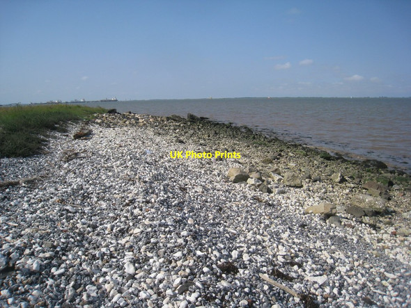 Photo 6"x4" This is pretty well it Pyewipe c2011