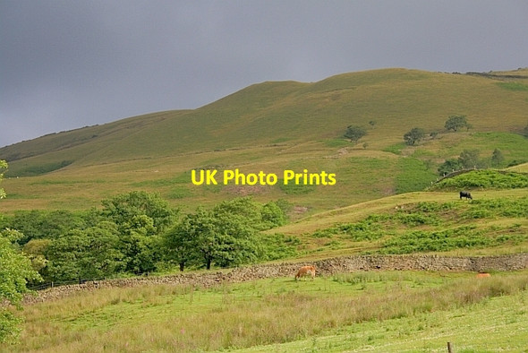 Photo 6"x4" Field Near Rowlee Farm Edale End c2011