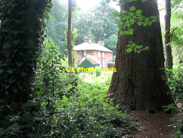Photo 6"x4" Cottages on the edge of Belmore Plantation, Thorpe St Andrew Thorpe End c2011