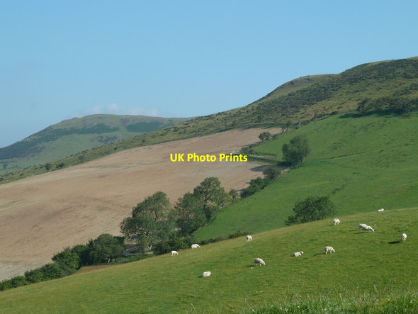 Photo 6"x4" Hillside above Bwlch-mawr Nantmel c2011