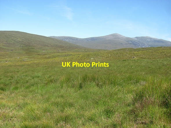 Photo 6"x4" Glen Fiag Fiag Plantation c2011