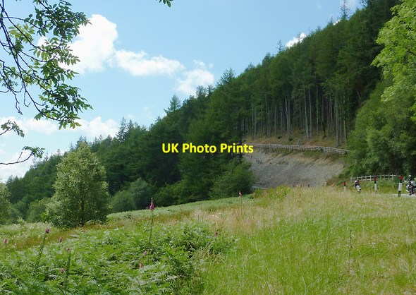 Photo 6"x4" Forestry in Cwm Nant Lledwenau, Ceredigion Pont-rhyd-y-groes c2011