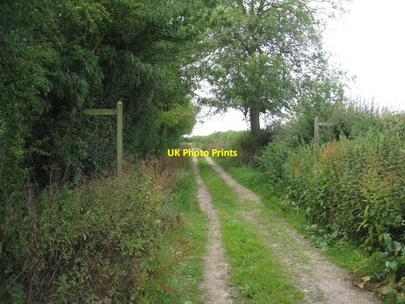 Photo 6"x4" Footpath crossing ! South Leverton c2011