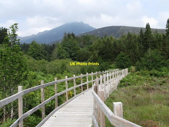 Photo 6"x4" Walkway through the Silent Valley Park Nature Reserve Attical c2011