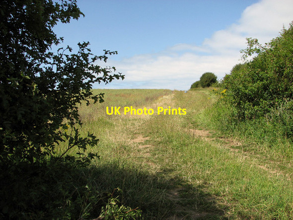 Photo 6"x4" Footpath along a field boundary hedge, Burnham Thorpe Burnham Thorpe c2011