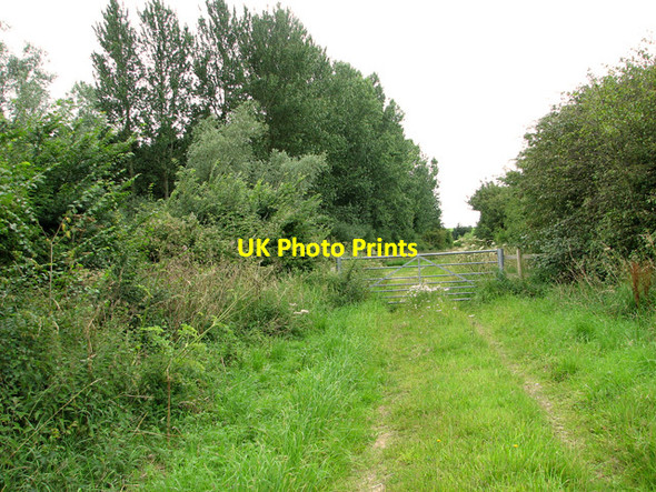Photo 6"x4" Gate on London Lane Southgate\/TF8634 c2011