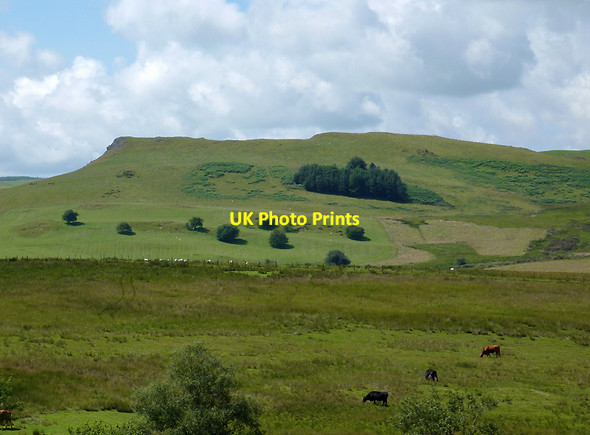 Photo 6"x4" Rough grazing below Craig-y-Fan, Ceredigion New Row\/Rhes Newydd c2011