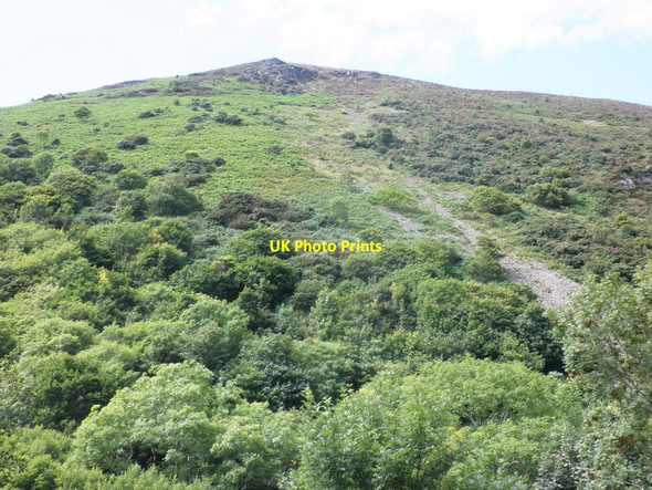 Photo 6"x4" Hillside, above the Heddon Valley Martinhoe c2011
