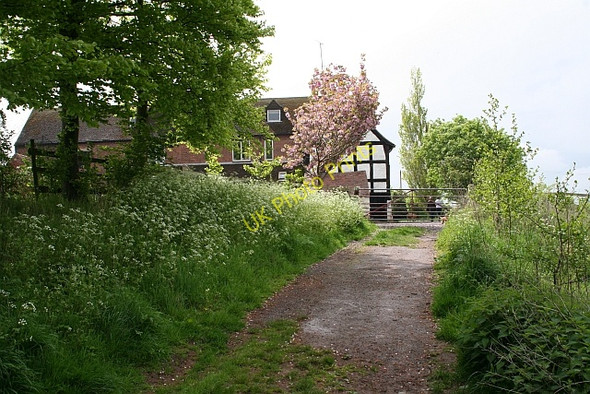 Photo 6"x4" Approaching Hill Court from the North Buckbury c2008