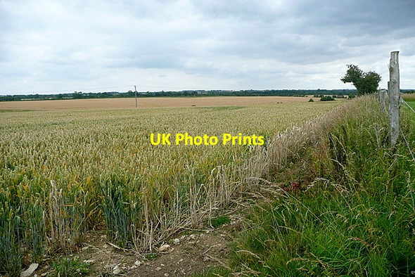 Photo 6"x4" Land west of Colnpen Calmsden c2011