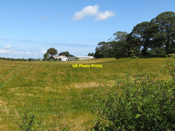 Photo 6"x4" Farm on the Slievegrane Road, Ballyalton Saul\/J5046 c2011