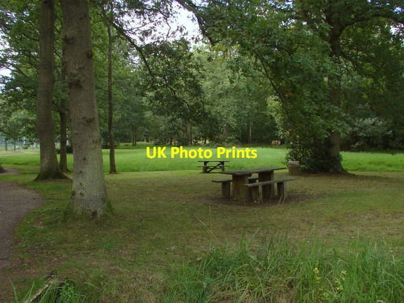 Photo 6"x4" Normandy Common Normandy\/SU9251 c2011