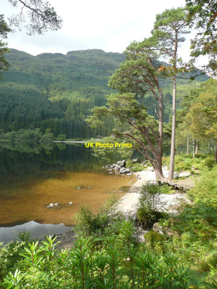 Photo 6"x4" Idyllic beach on Loch Eck Whistlefield\/NS1493 c2011