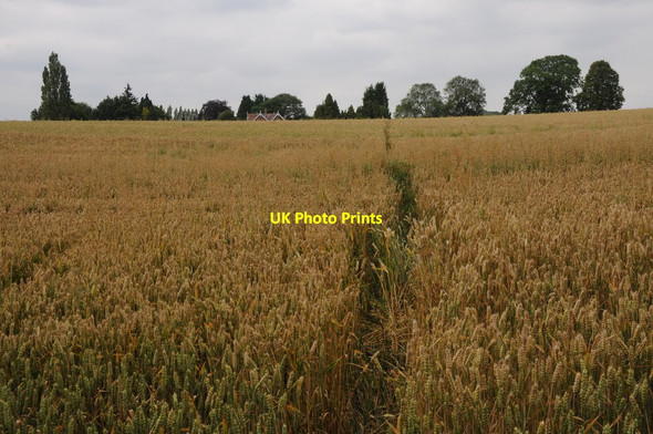 Photo 6"x4" Footpath near Greete Greete c2011