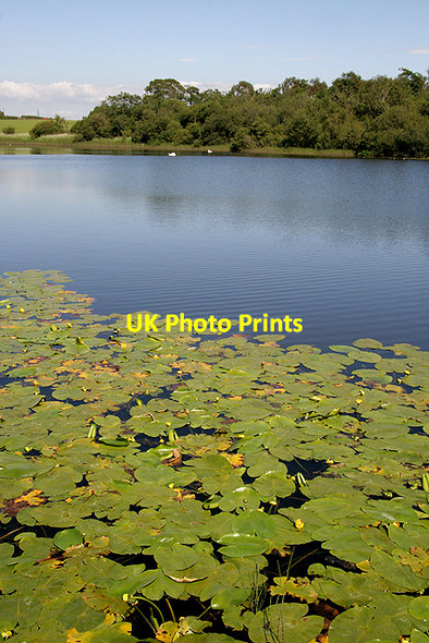Photo 6"x4" Snipe Loch Joppa\/NS4019 c2011 P1