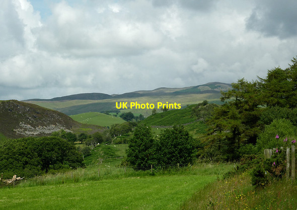 Photo 6"x4" Cwm Rheidol north of Devil's Bridge, Ceredigion Ystumtuen c2011