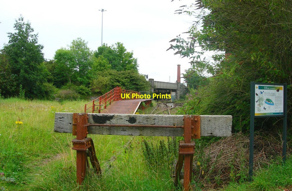 Photo 6"x4" Butterfly Junction Bower Ashton c2011