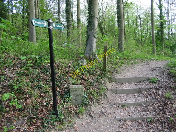 Photo 6"x4" Footpath to Wye Wye c2008