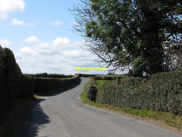 Photo 6"x4" Well trimmed field hedges at Struell House Farm Downpatrick c2011