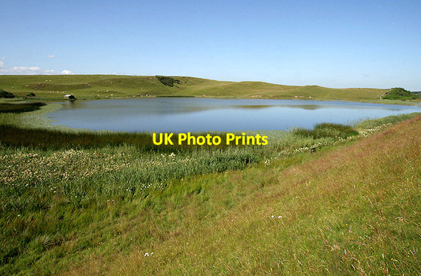 Photo 6"x4" Shielswood Loch Salenside c2011