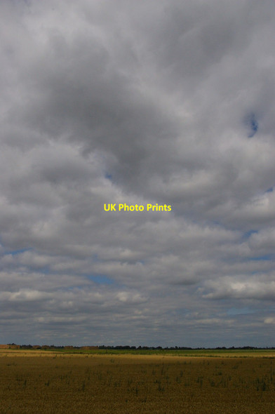 Photo 6"x4" Blackmoor Fen Sutton Gault c2011