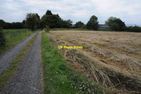 Photo 6"x4" Track to Mahorall Knowle\/SO5973 c2011