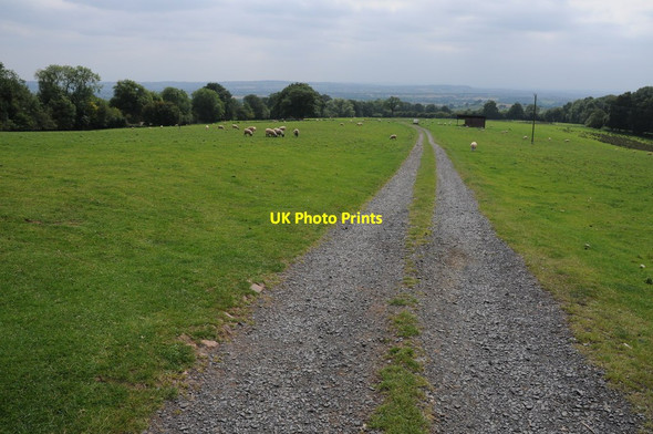 Photo 6"x4" Track and footpath to The Grove Knowle\/SO5973 c2011
