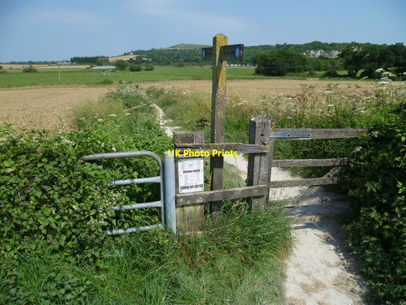 Photo 6"x4" The South Downs Way east of Houghton Lane Houghton\/TQ0111 c2011