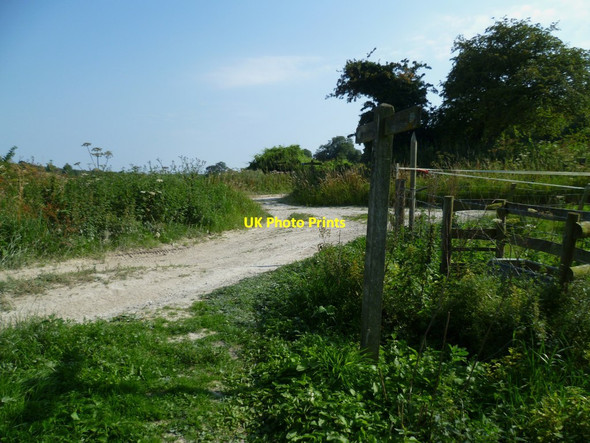 Photo 6"x4" Six way junction on Westburton Hill Bignor c2011