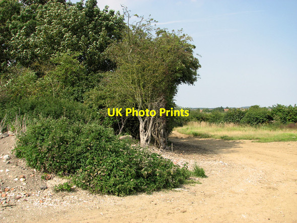 Photo 6"x4" Track past Hanging Mire Plantation, Little Walsingham Great Walsingham c2011