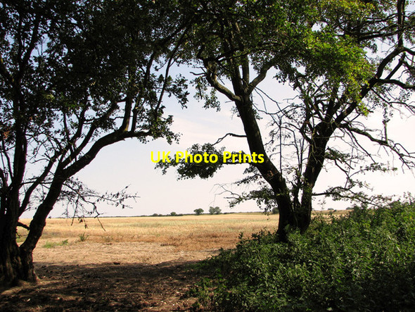 Photo 6"x4" Field beside Hanging Mire Plantation, Little Walsingham Great Walsingham c2011