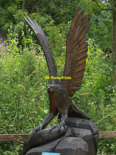 Photo 6"x4" Osprey Carving Lyndon c2011