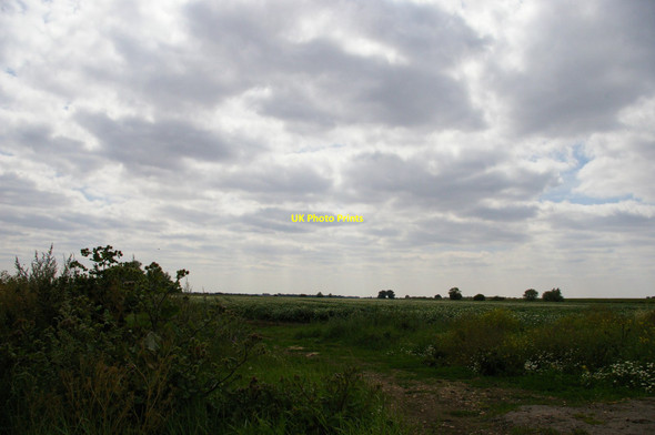 Photo 6"x4" Between Ditches Drove, from Chain Causeway, near Sutton Sutton Gault c2011