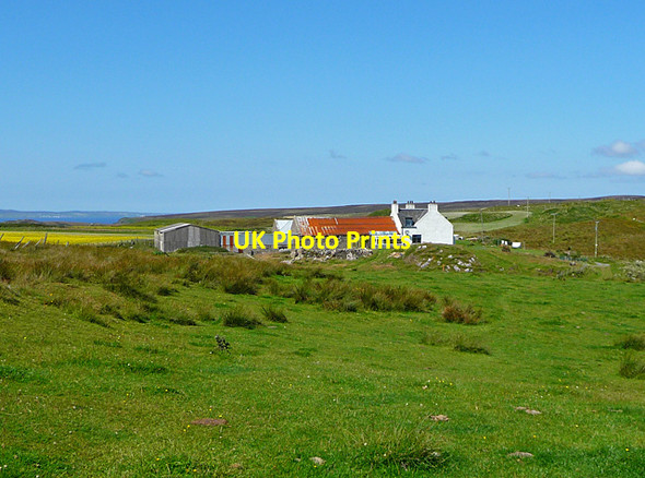 Photo 6"x4" Upper Killeyan Farm Risabus c2011