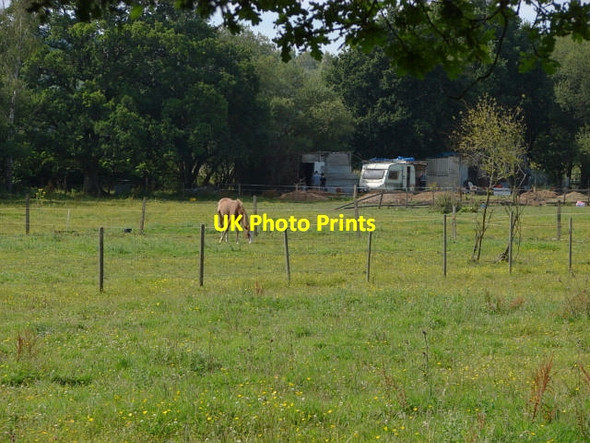 Photo 6"x4" Fields near Wyke Normandy\/SU9251 c2011