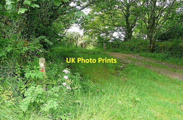 Photo 6"x4" Footpath at Woonsmith Georgia c2011