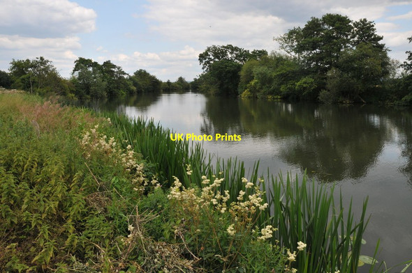 Photo 6"x4" River Thames near Dorchester Meadside c2011